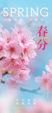 春风吹万物生春分传统节气海报