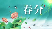 简约春分24节气展板