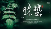 惊蛰节气图片下载
