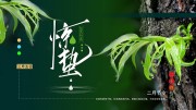 24节气惊蛰海报