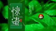 二十四节气惊蛰展板