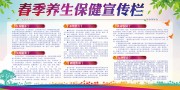 春季养生保健宣传栏