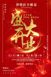 盛大开业周年狂欢海报