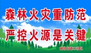 森林火灾防范宣传海报下载