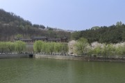 春日湖光园林景图片素材