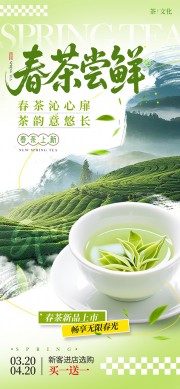 春茶上新宣传广告