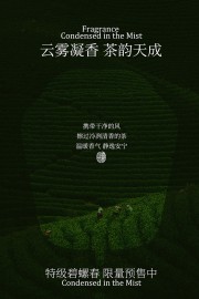 碧螺春茶叶广告