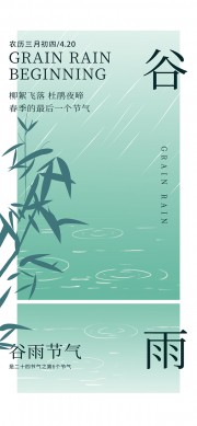 柳絮飞落杜鹃夜啼谷雨中国传统节气海报