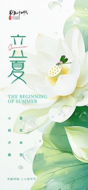 盛开的荷花主题立夏节气广告
