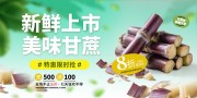 甘蔗水果海报图片素材下载