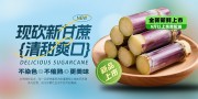 水果甘蔗海报图片素材