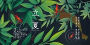 传统立夏节气海报