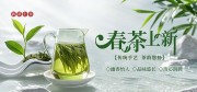 清新背景春茶尝鲜新茶促销展板