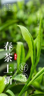 绿色春茶上新茶叶促销海报
