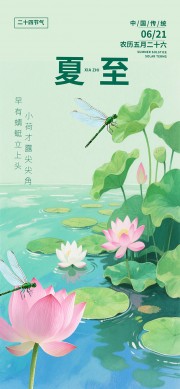 �ɻ�������������