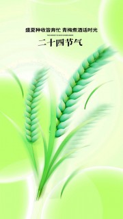 ��ɢ���Լ�Ӿ���â�ֽ�������