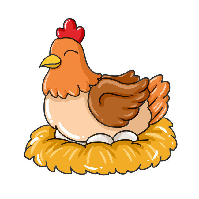孵蛋的母鸡插画图片下载