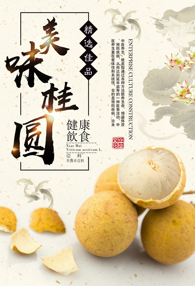 介绍当前图片:美味桂圆海报,主题为桂圆海报,可用作桂圆广告,龙眼海报