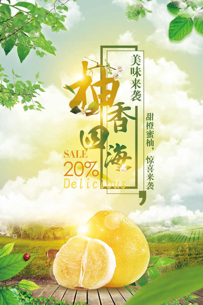 柚子水果海报