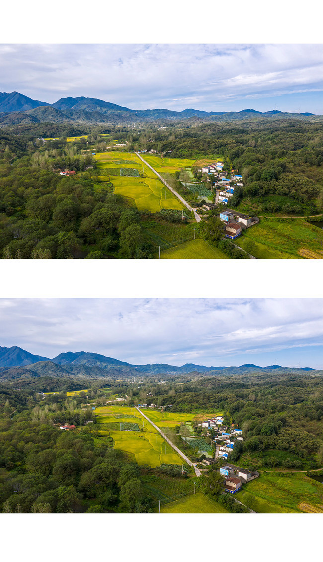 鸟瞰金色的田园风景图片素材