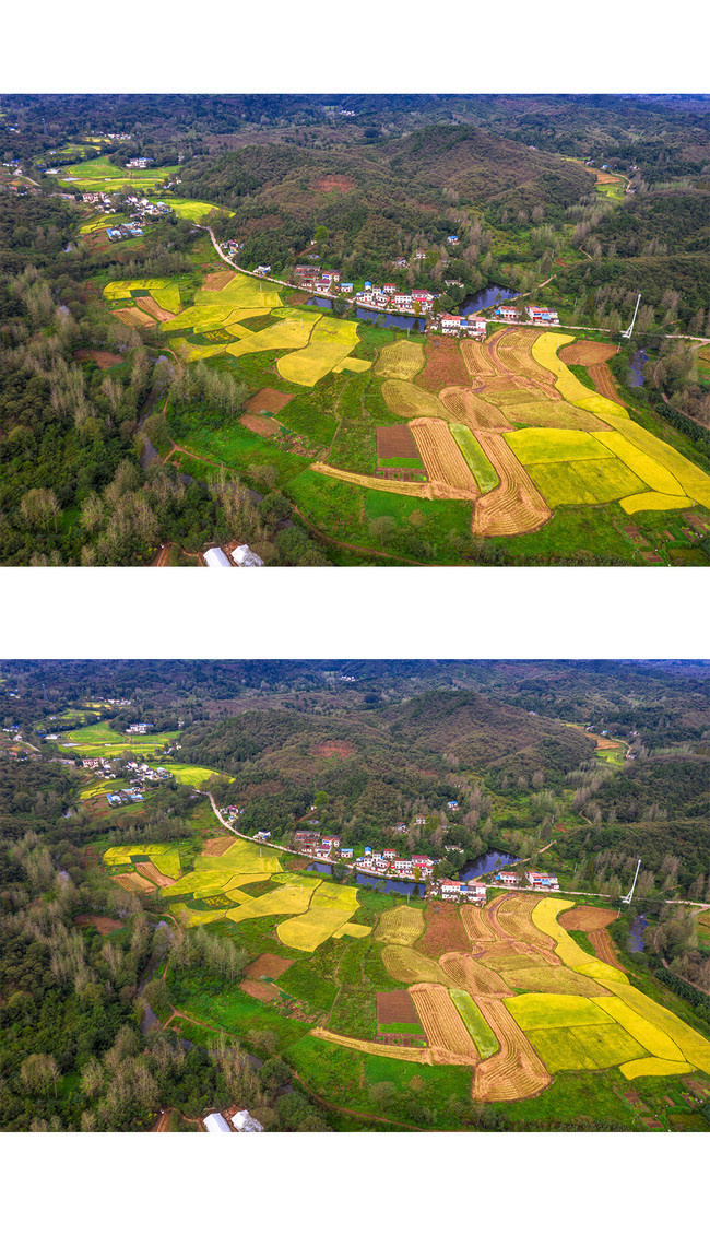 乡村金色稻田风景图片素材