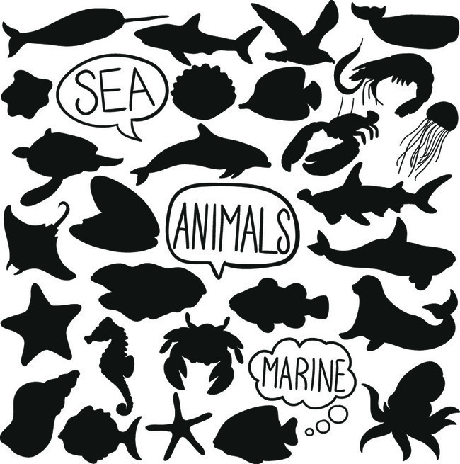 海洋动物剪影矢量素材