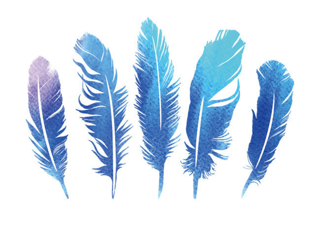 蓝紫色的五根羽毛