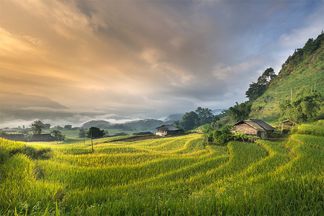 梯田农田风景图片