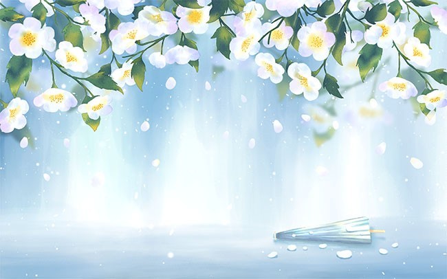 手绘白色花朵边框背景图片