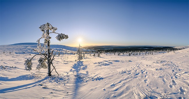 冬季雪原风景图片素材