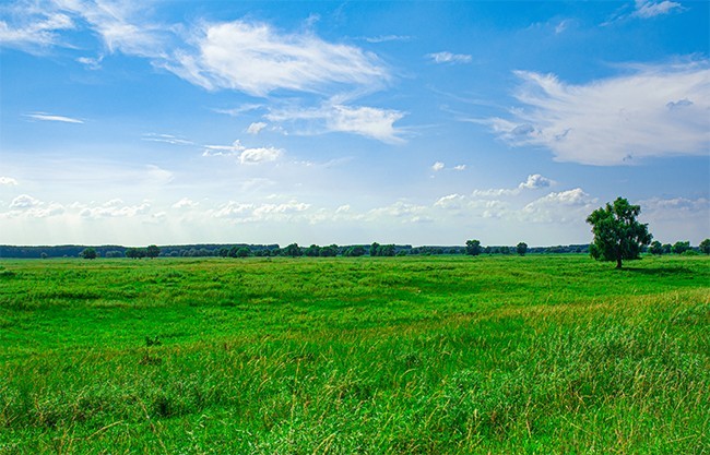 草原草坪蓝天白云大自然风景图片