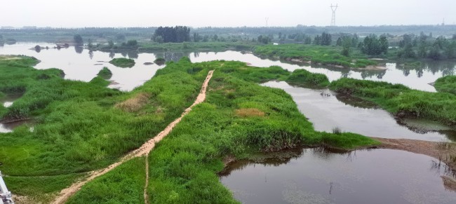 湿地草地风景图片素材