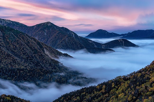 森林自然景观图片