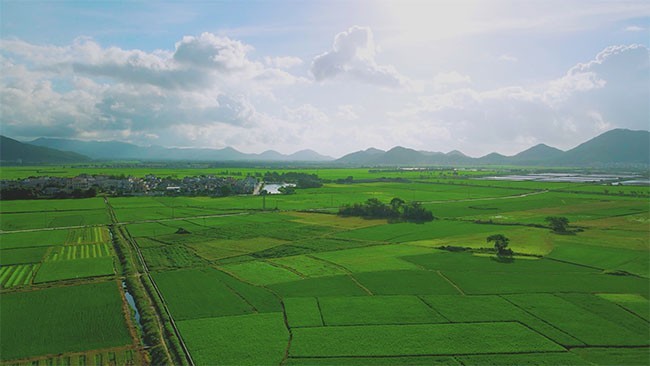 春天田野风景图片素材