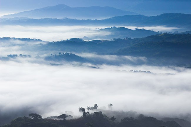 云雾远山森林风景图片素材