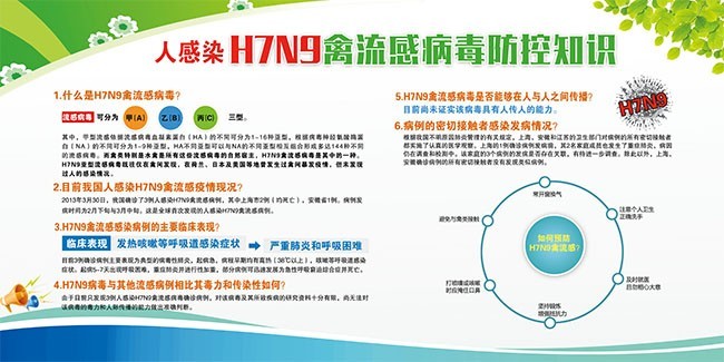 预防H7N9禽流感病毒知识宣传栏