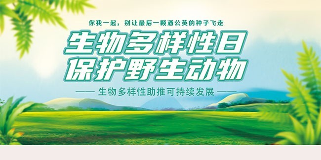 保护野生动物生物多样性宣传标语图片