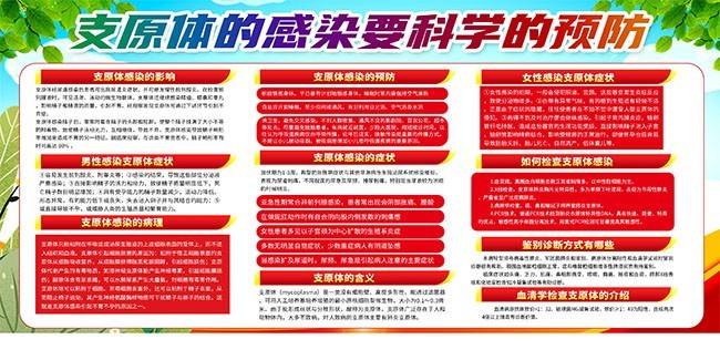 支原体的感染健康科学宣传栏图片素材