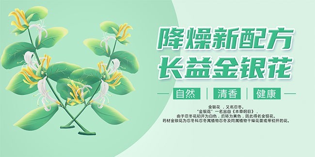 金银花中药材海报