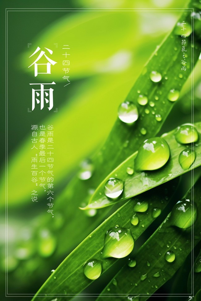 谷雨二十四节气广告