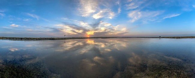 宽幅东营湿地夕阳全景图