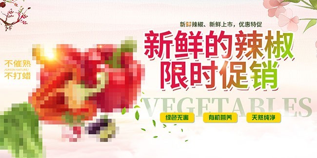 时令新鲜蔬菜促销海报模板