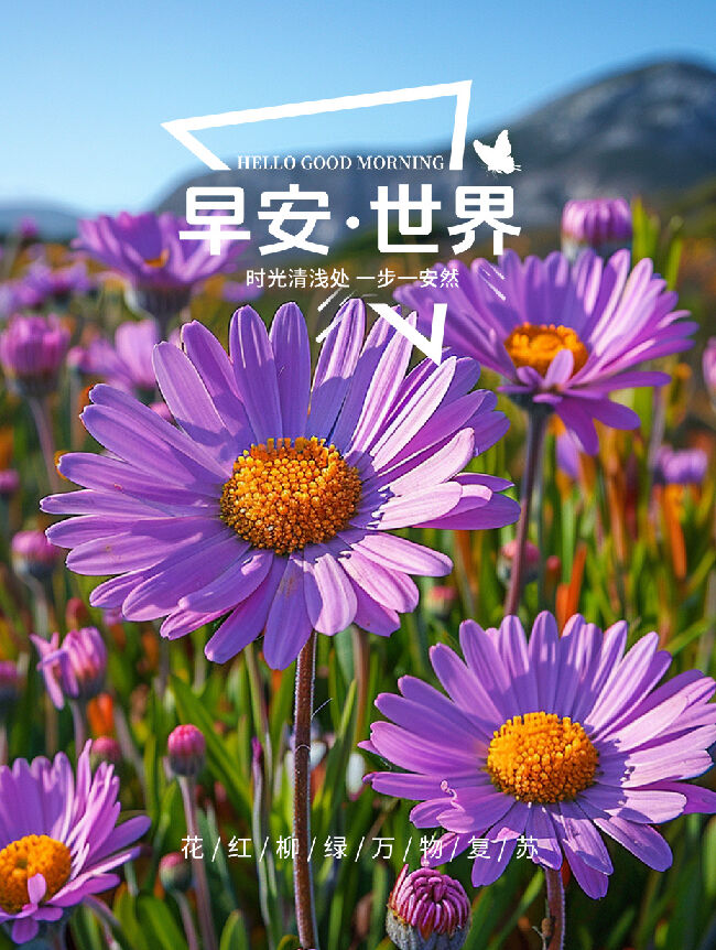 �簲��