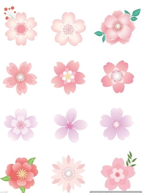 ӣʸͼƬ