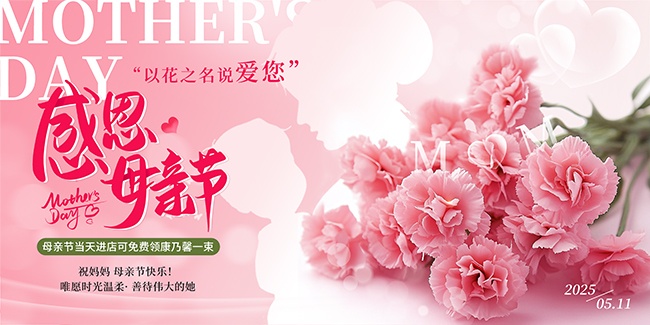 康乃馨实拍风母亲节活动宣传展板