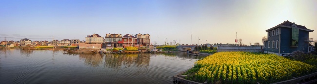 宽幅油菜花开的水乡风景图片素材