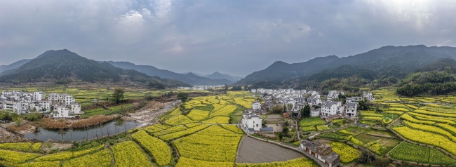 宽幅皖南油菜花田间的村落自然风景
