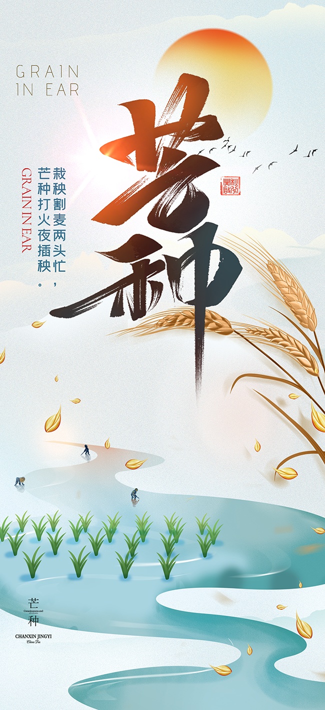 简约大气二十四节气芒种海报