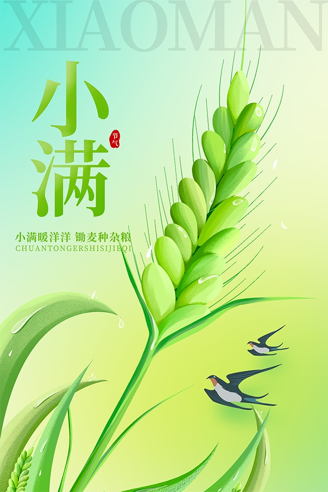 二十四节气小满海报