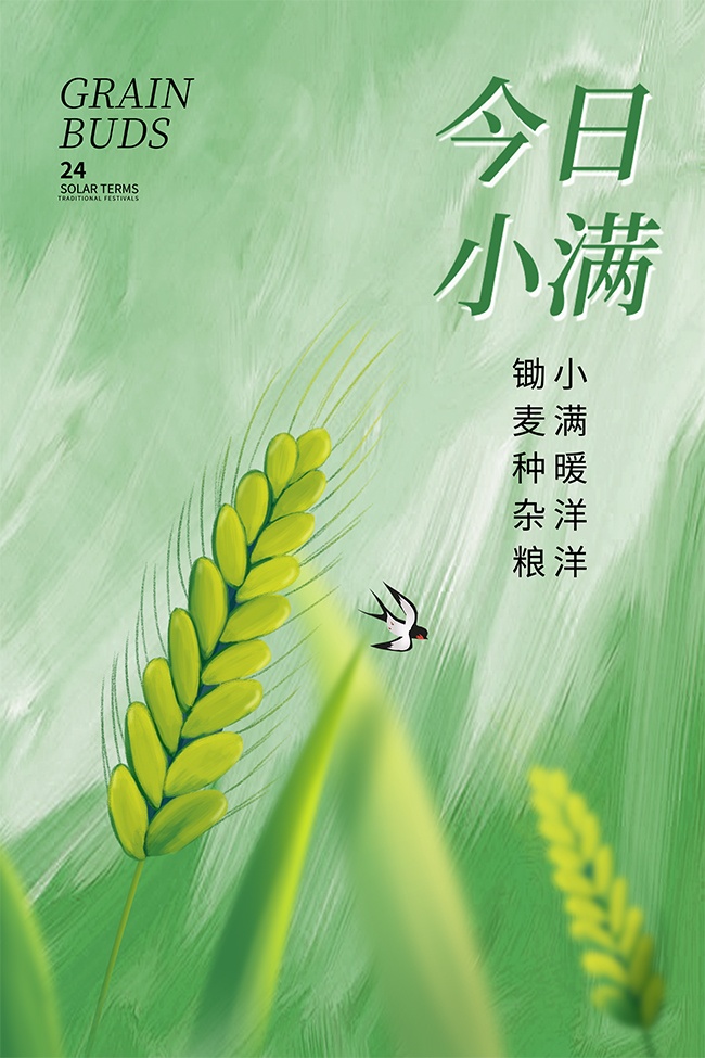 小满韵悠长清新二十四节气海报图片素材